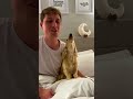 Dog Who Was Scared Of Mom’s Boyfriend Is Now A Total Daddy’s Girl | The Dodo