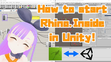 How to start Rhino.Inside in Unity!