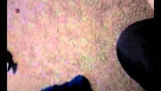 VID 20110504 175142
