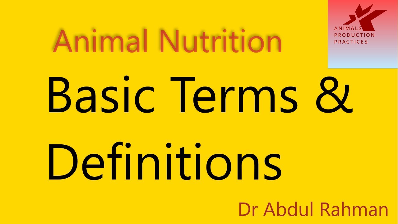 Animal Nutrition Basic Terms & Definitions YouTube