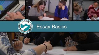 Writing Center Lesson: Essay Basics