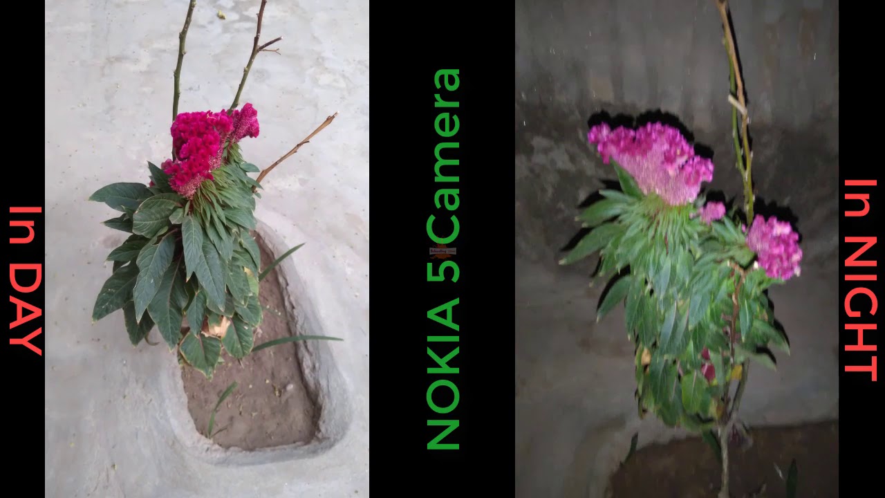 Nokia 5 Camera Test Video and Pics smartphone 5g