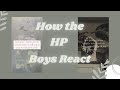 How the hp boys react  sweet