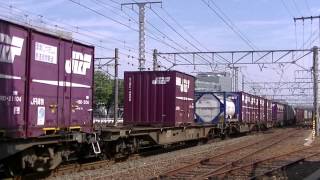 JR貨物 EF66-101 (5073レ)  熱田駅付近にて