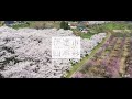 2022-伊達市観光PR動画【春】