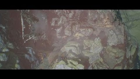 Planet of the Apes: Last Frontier Chapter 3 Lines In The Sand