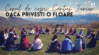 Daca privesti o floare | Corul de copii Cantus Junior | Videoclip Speranta TV