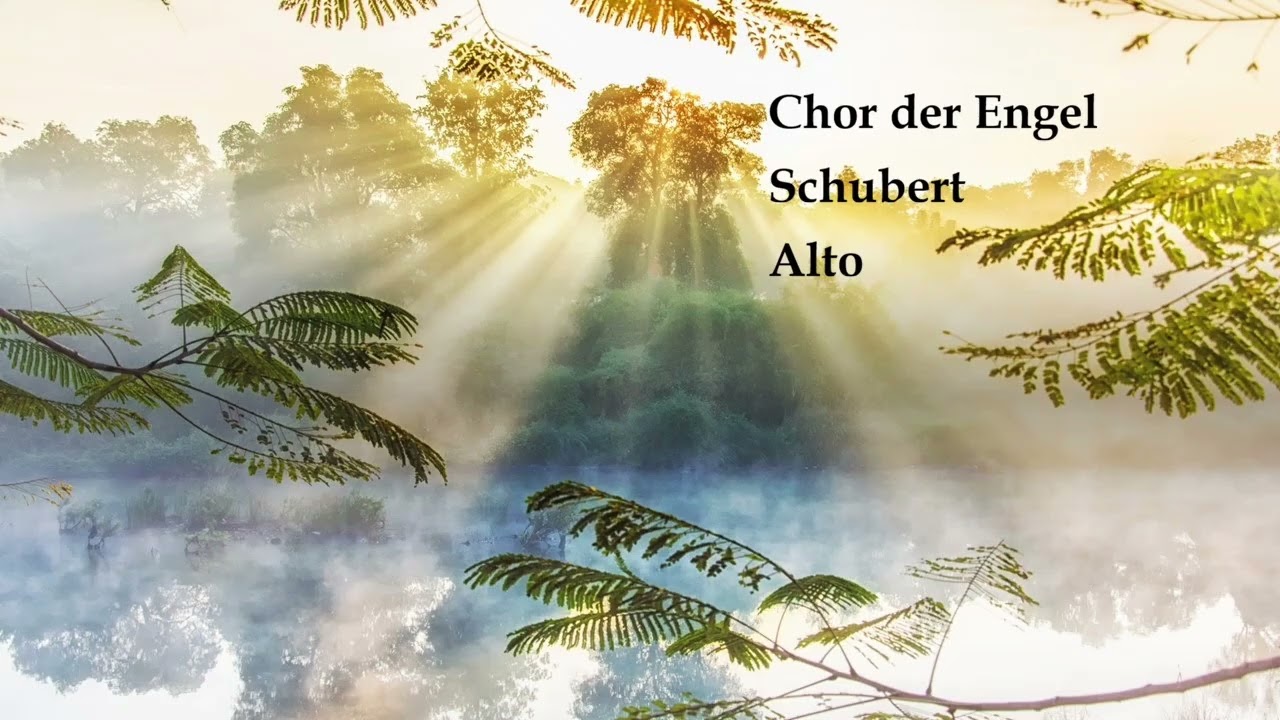 Chor der Engel, Schubert, Alto, VnStr, v4s, re1