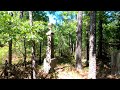 176 Year Old Plantation Cemetery and Slave Cemetery