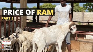 Price of RAM in Africa The Gambia 2023 EID Part 5