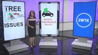 When a tree falls: What insurance pays for (and doesn't!)