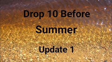 Drop 10 Before Summer Update 1 | PANtastic Ladies Collab