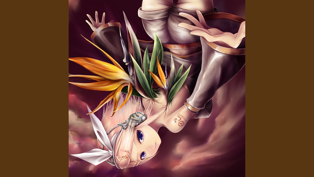 極楽鳥/Birds of Paradise 極楽鳥 -bird of paradise- - YouTube