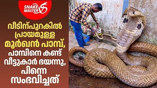 EP 26 | പാമ്പിനെ കണ്ട് വീട്ടുകാർ ഭയന്നു, പിന്നെ സംഭവിച്ചത് | Vava Suresh | Snakemaster