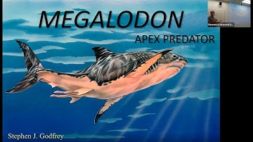 The Extinct Giant Shark, Megalodon