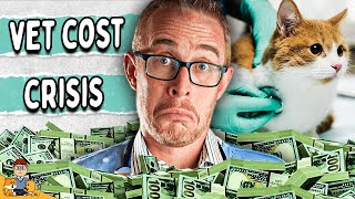 Dealing with the rising cost of vet care