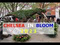 🇬🇧 CHELSEA IN BLOOM 2023 “Flowers on Film” 🎥 Floral Displays.London walks 2023 #london