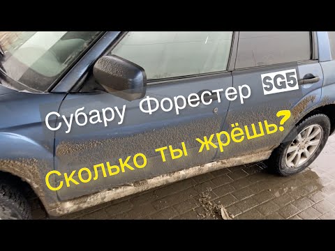 Какой расход Субару Форестер sg5? Сколько ты жрешь? Проверяем...