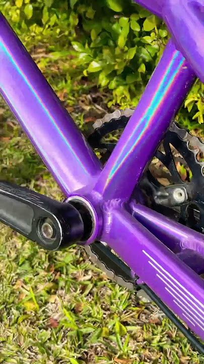 Bmx race bike check
