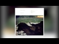 Fleet Foxes - On Another Ocean (January / June)