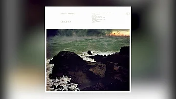 Fleet Foxes - On Another Ocean (January / June)