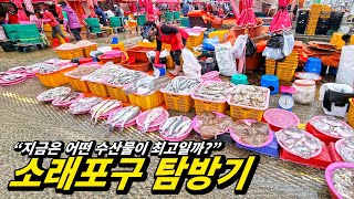 The infamous (?) Sorae Port Fish Market, how about going now?