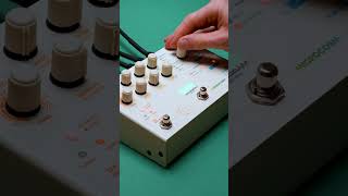 Looper Magic with Microcosm - YouTube