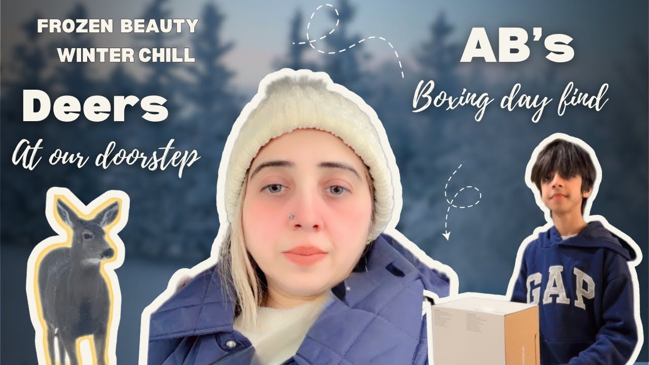 Deer at Our Doorstep & AB’s Boxing Day Surprise Snowy Day Magic 