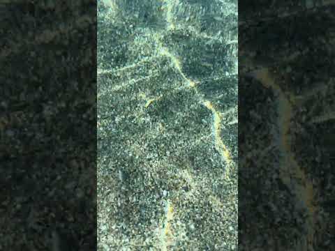 IMG 9692