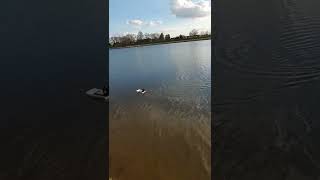 3D Printed Swamp Boat