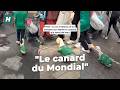 Merlin, un canard devenu la mascotte de l'équipe mexicaine, fait fureur sur les réseaux sociaux