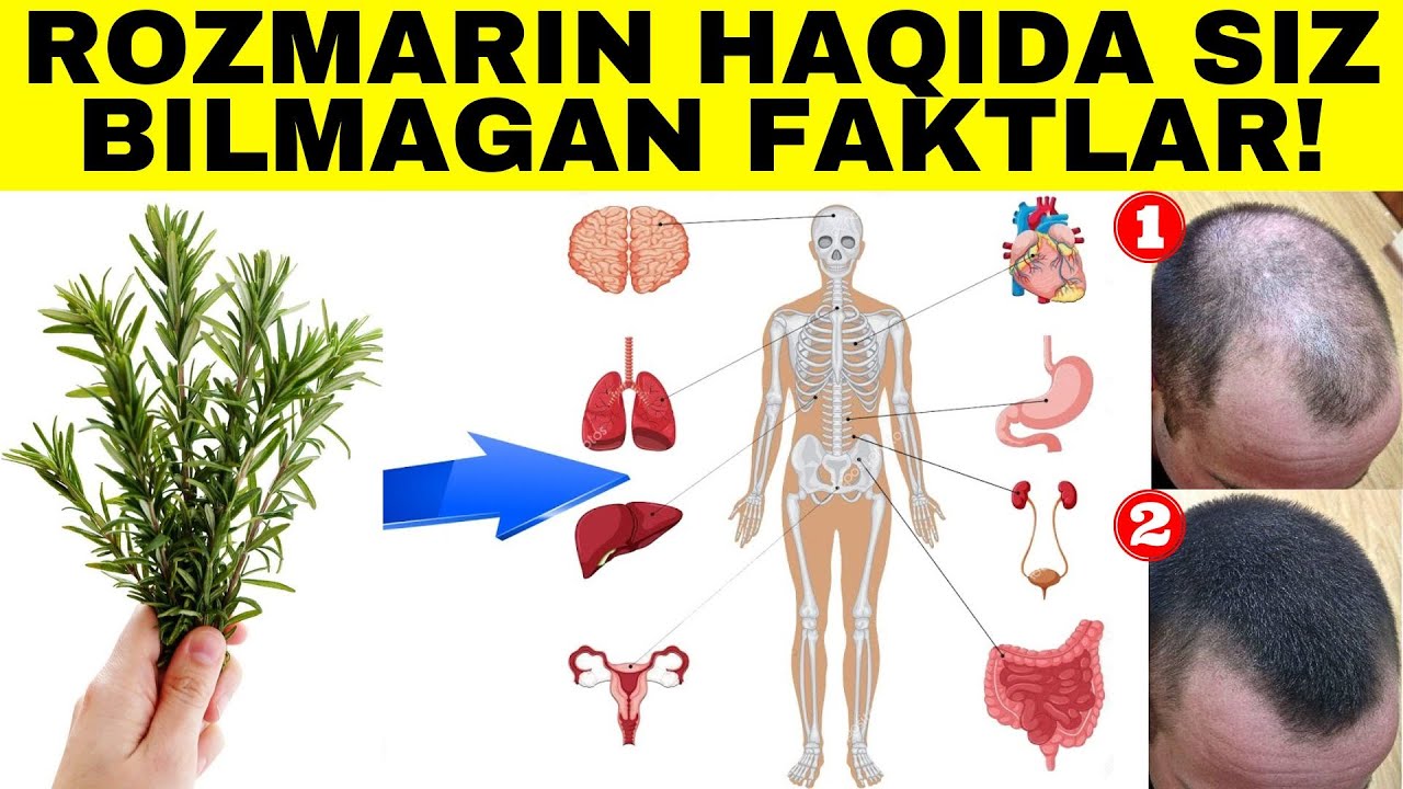 Yalangoch erkak va ayollarning fotosuratlarini koring Yalangoch erkak va ayollarning fotosuratlarini koring