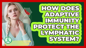 How Does Adaptive Immunity Protect The Lymphatic System? - Lymphoma Support Network