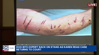 WATCH LIVE: Dog bite expert back on stand as Karen Read case returns to court.