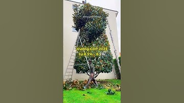 Mục tiêu tăng trưởng 8.5% có khả thi? #vuonkinhte #kinhte #gdp #vietnam