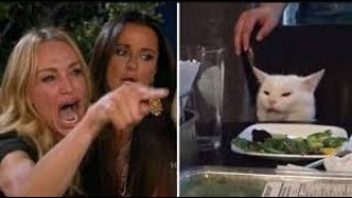 BEST CAT MEMES OF COMPILATION 2020 (FUNNY CATS)