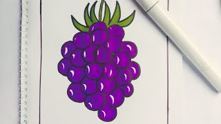 how to draw blackberry 🍇step by step blackberry drawing 🍇