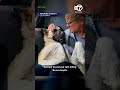Ventura County dog euthanized despite emergency SCOTUS filing