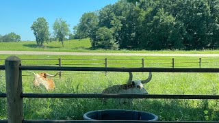 Sunday drive @ Kick back Ranch