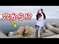 【NOT根魚】穴釣りしたらまさかの大物魚が連発した