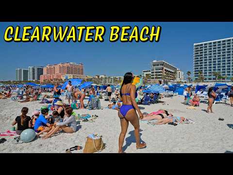 What Makes Clearwater Beach So POPULAR?