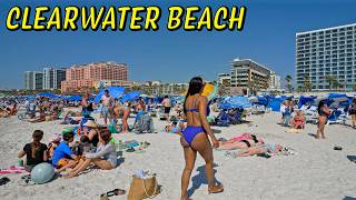 What Makes Clearwater Beach So POPULAR?