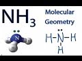 Molecular Geometry of NH3
