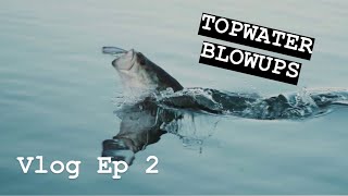 EXTREMELY CLEAR WATER - (Underwater Content)