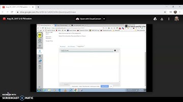 Submitting Google Drive Assignment in Canvas