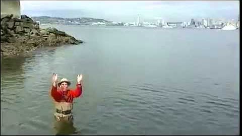 "The Eyes of Nye - Global Climate Change" for STEM