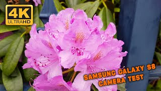 Spring in the Netherlands - Galaxy S8 Cinematic Video [4K 60FPS AI ENHANCED]