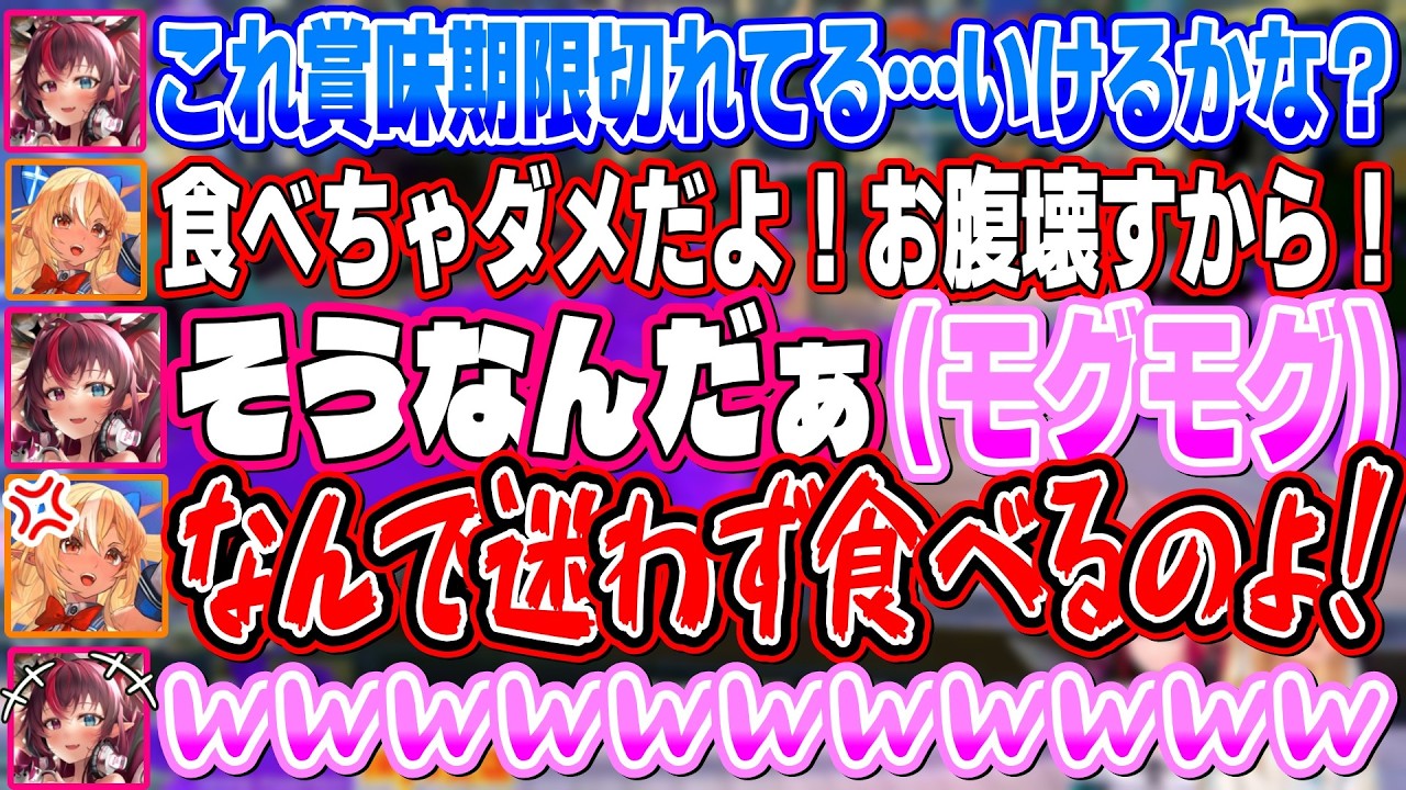 配信でとんでもないド下ネタを言ってしまういつも通りちょっとえっちなアイリスと叡智なふーたん【不知火フレア/IRyS/ホロライブ】