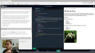 HTML and CSS on codeCademy: part1