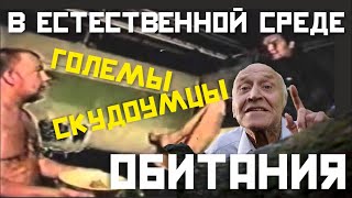 ГОЛЕМЫ И СКУДОУМЦЫ В ЕСТЕСТВЕННОЙ СРЕДЕ ОБИТАНИЯ | Гой Гайа!